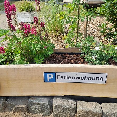 Ferienwohnung Im Winkel Hanstedt エクステリア 写真