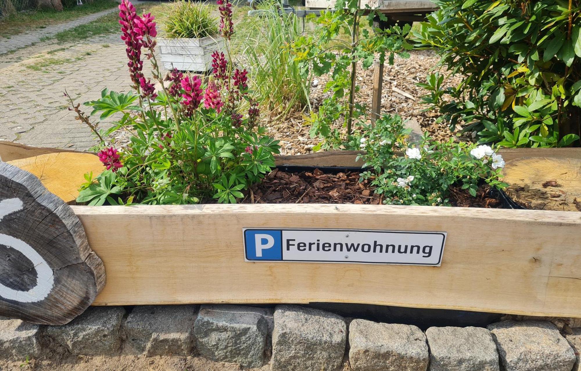 Ferienwohnung Im Winkel Hanstedt エクステリア 写真